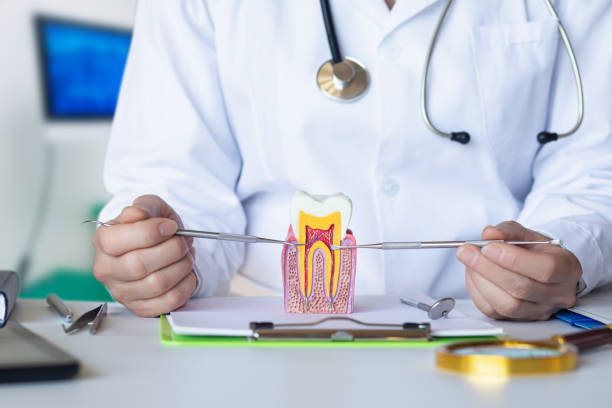 Best Emergency Treatment for Dental Infections or Abscesses in Russiaville, IN